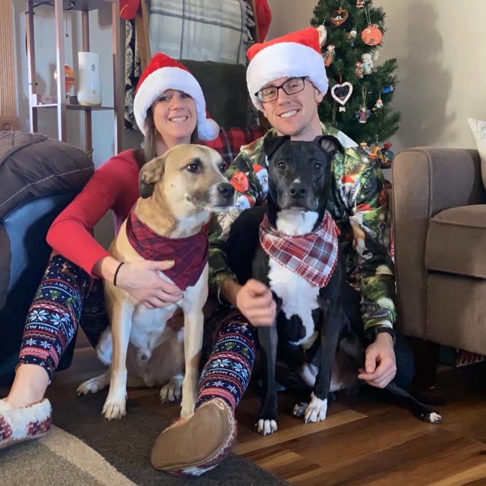 Erica and Tyler's first Christmas in their new house; Jordy is the blond dog, Xena is the black one.