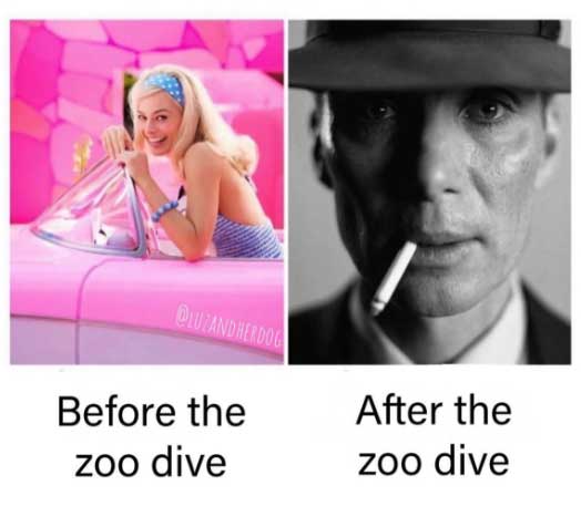 Meme. Before the zoo dive: Margot Robbie as Barbie in a convertible. After the zoo dive: Cillian Murphy as Oppenheimer smoking a cigarette.